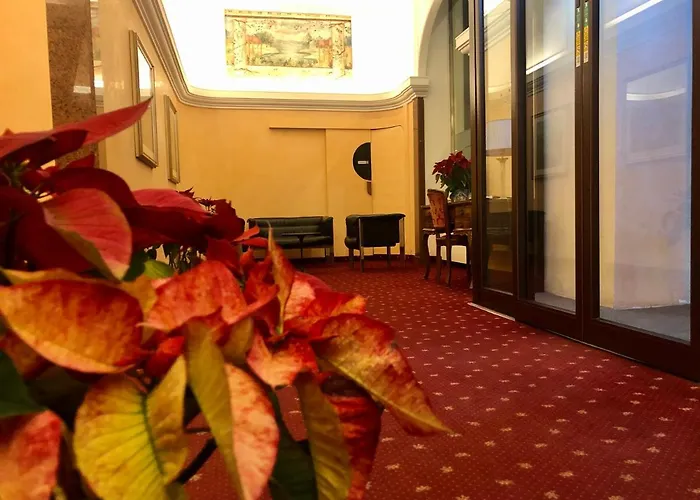 Centro Otel 3*